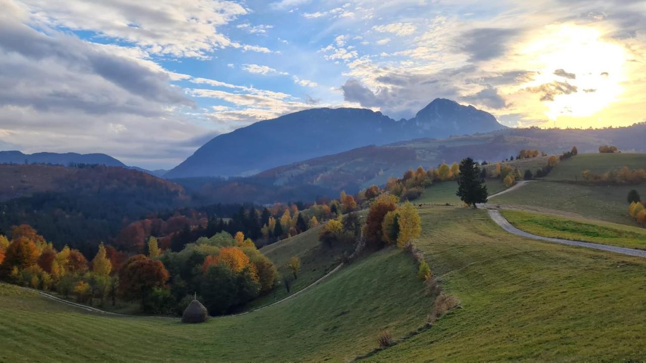 My Little Village Poiana Mărului Buitenkant foto
