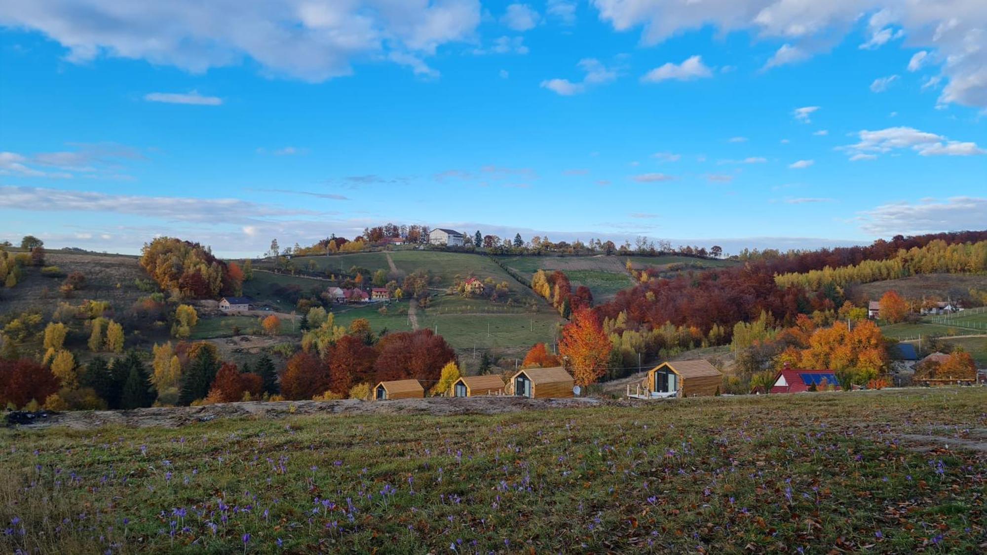 My Little Village Poiana Mărului Buitenkant foto