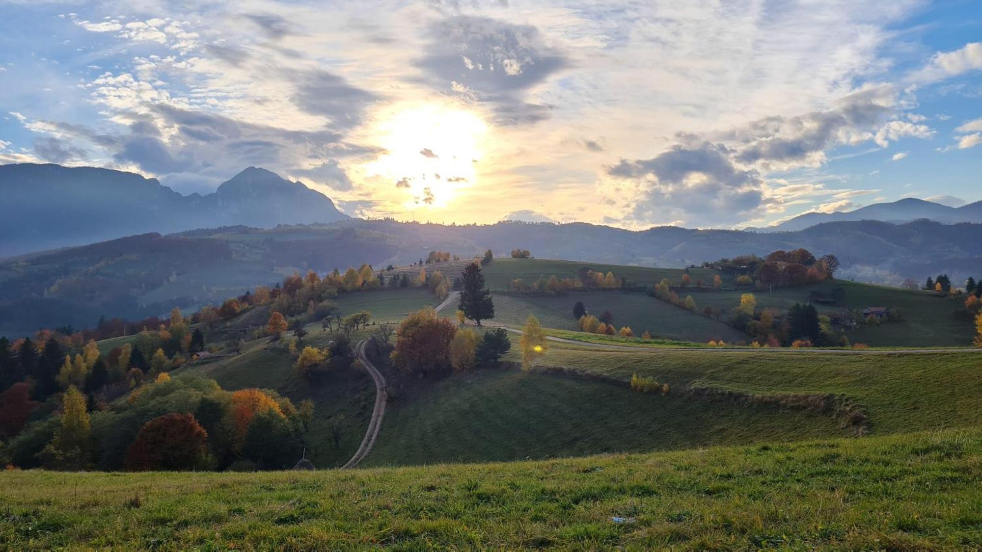 My Little Village Poiana Mărului Buitenkant foto