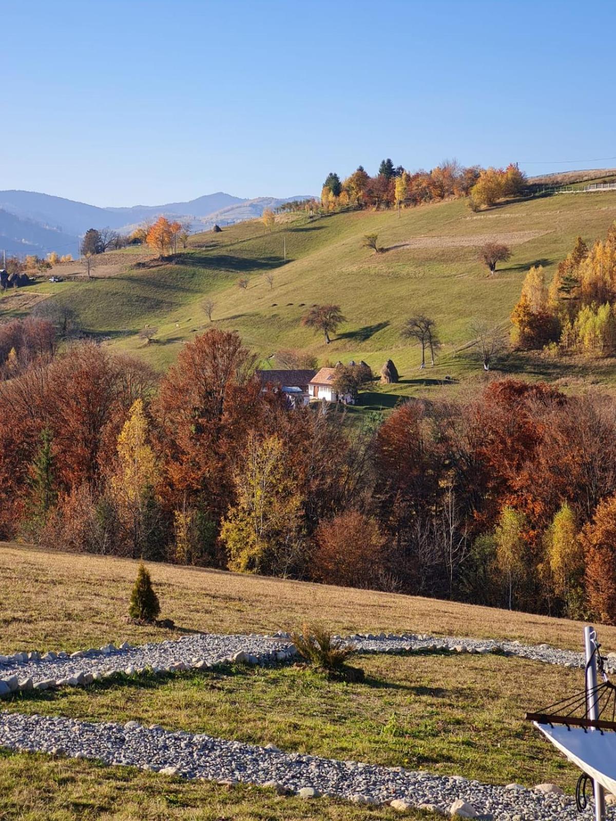 My Little Village Poiana Mărului Buitenkant foto