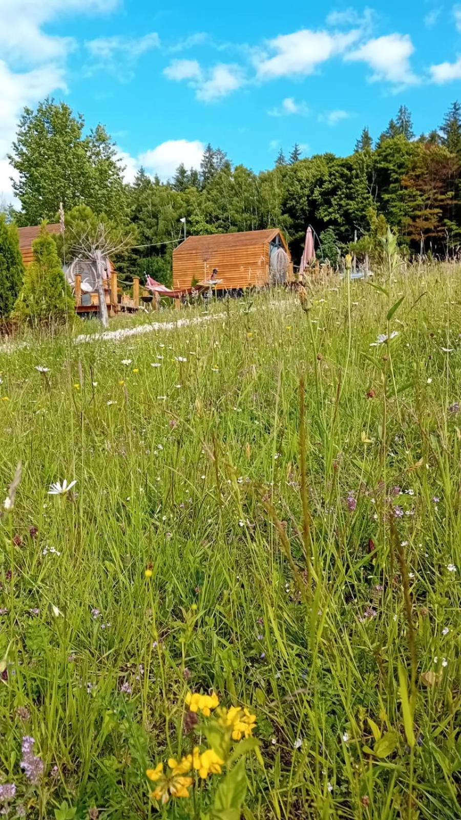 My Little Village Poiana Mărului Buitenkant foto